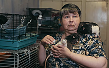 Опубликован фильм о сибирячке, которая стала мамой для 120 крыс