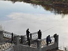 В Шадринске на новой набережной нашли нарушения