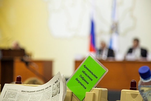 Миллионные доходы и дома за границей: названы самые богатые жены депутатов Архангельской области