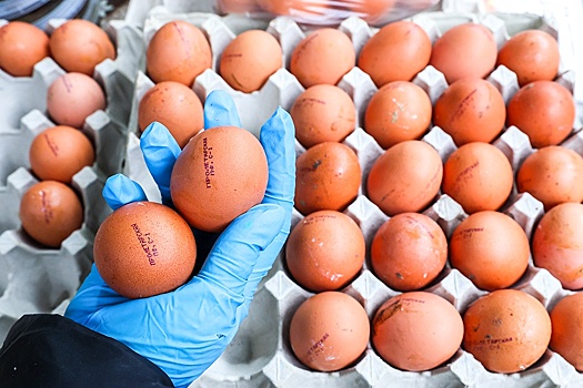 Генпрокуратура проверит факты необоснованного завышения стоимости яиц. Какие меры принимаются уже сейчас для снижения цен