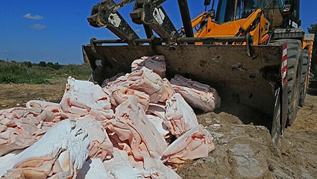 Более тонны санкционных груш уничтожили в Удмуртии