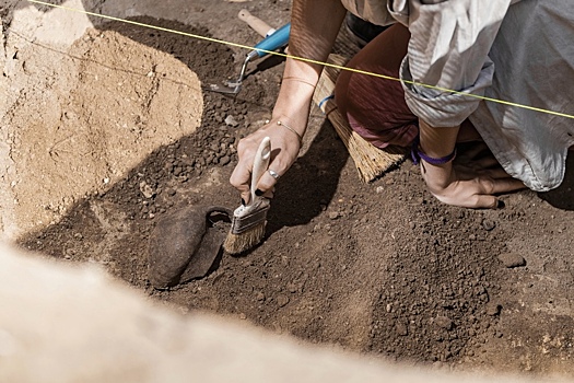 Московские археологи нашли более 8,5 тыс. артефактов