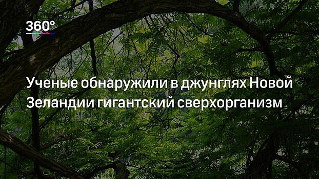 Япония создаст гибрид крысы и человека