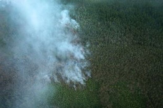 В СПЧ заявили об искажении данных по лесным пожарам в Иркутской области
