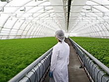 В 2021 году в России продолжится укрупнение агробизнеса — Россельхозбанк