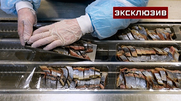 Плесень и мало рыбы: в России признали некачественными больше половины пресервов из сельди