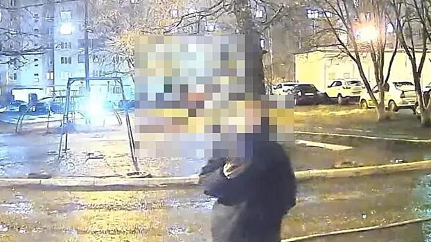 В Мордовии уроженка Саратовской области, помогавшая аферистам похищать деньги у россиян, помещена в СИЗО