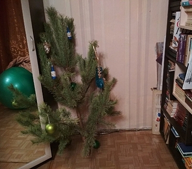 Елена Пономарева: “Мы поставили новогоднюю ёлку к середине января, когда все их выбрасывали”