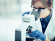Учёный раскрыл сработавший способ продлить жизнь животным