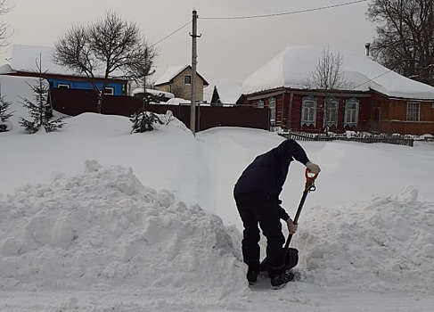 Активисты из поселения Роговское помогли местным жителям в уборке снега