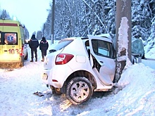 Под Березниками автоледи на Renault протаранила столб