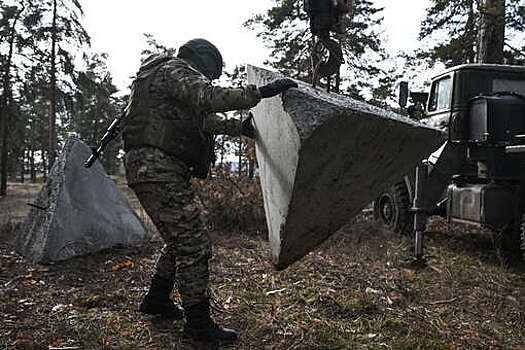 Хинштейн словами "первый пошел" оценил приговор по курским фортификациям