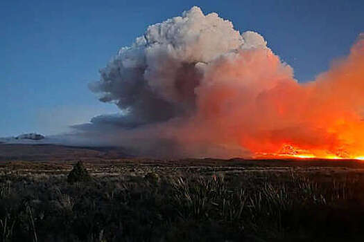 В новозеландском нацпарке, где снимали "Властелина колец", вспыхнул мощный пожар