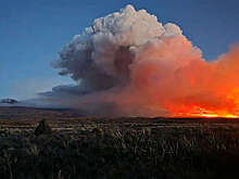 В новозеландском нацпарке, где снимали "Властелина колец", вспыхнул мощный пожар