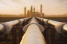 BBC News: на COP27 съехалось большое количество лоббистов нефти и газа