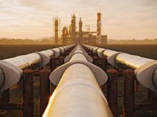 BBC News: на COP27 съехалось большое количество лоббистов нефти и газа