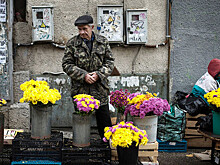 СП: лишь каждый десятый самозанятый будет добровольно отчислять на пенсию