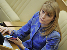 В Госдуме назвали встречу лидеров логичным этапом после переговоров по Украине