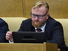 Милонов назвал главу британского Минобразования "профнепригодным чучелом"