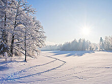 Крестьянам пообещали ленинградский гектар. Будет ли спрос?