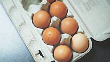 Названа главная ошибка при варке яиц, которая делает из них отраву