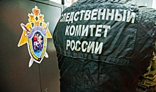 Бастрыкину представят доклад по делу о нападении на наряд ГИБДД в Котово