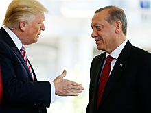 Стало известно о намерении Эрдогана и Трампа провести переговоры летом