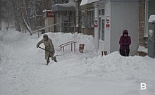 Казанцы опровергли заявление мэрии: у 80% участников опроса "Реального времени" дворы завалены снегом