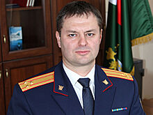 На 7 люксовых автомобилей главы СК Марий Эл наложили ограничения