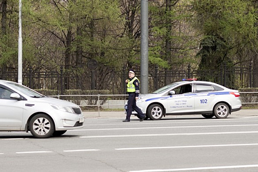 Мойка и парковка на траве. За что могут оштрафовать автомобилиста за городом?