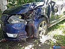 На площади Новочеркасска иномарка врезалась в дерево и перевернулась