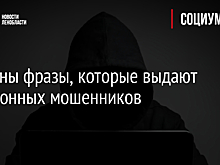 Названы фразы, которые выдают телефонных мошенников
