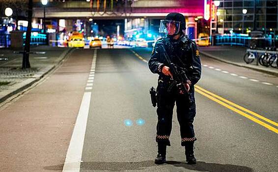 Несколько человек погибли при нападении неизвестного в Норвегии