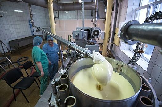 Из Канского района в Узбекистан отправили 20 тонн молочной продукции