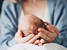 В Петербурге разработали новые меры поддержки рождаемости и многодетности