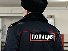 Названа причина сокращения сотрудников МВД РФ