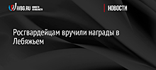 Росгвардейцам вручили награды в Лебяжьем