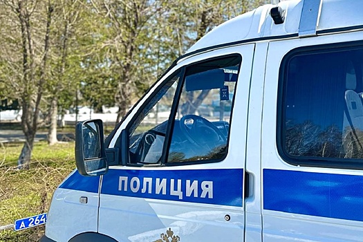 Грудной ребенок выпал из коляски во время драки двух жительниц Барнаула