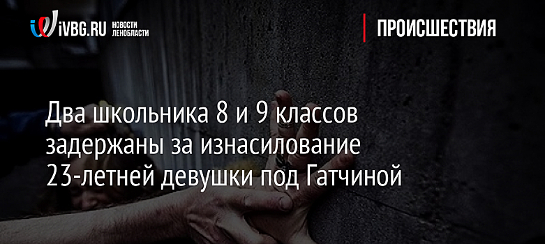 Два школьника 8 и 9 классов задержаны за изнасилование 23-летней девушки под Гатчиной