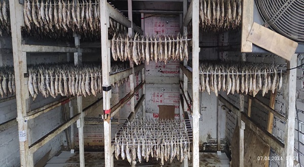 Изъяли 5 тонн: оперативники пресекли незаконный сбыт рыбы, реализуемой женщиной-браконьером