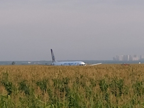 Адвокат: Хозяину поля, куда экстренно сел самолет, заплатят по двойной бухгалтерии