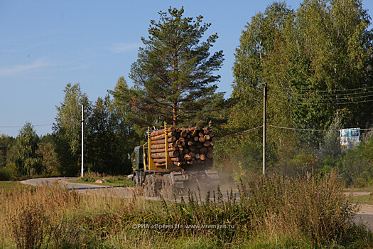 Объемы заготовки древесины увеличат в Нижегородской области