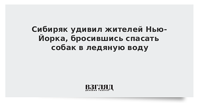 Сибиряк удивил жителей Нью-Йорка, бросившись спасать собак в ледяную воду