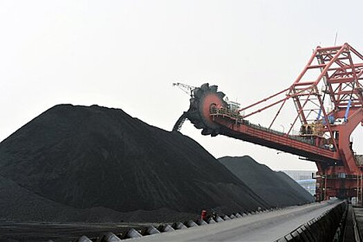 Немецкую компанию заподозрили в перевозке российского угля
