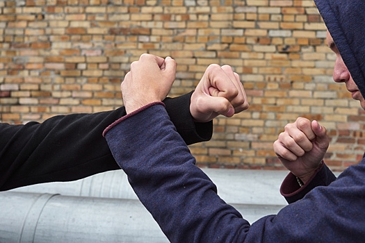 Бьют и обливают майонезом: мать пострадавшего ребенка рассказала о нападениях подростков под Новосибирском