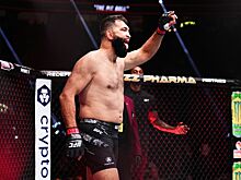 Фёдор Емельяненко — Андрей Орловский: когда поединок, бой по боксу, первый бой, реванш, конфликт