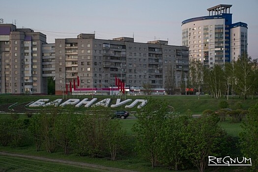 В Алтайском крае материнский капитал чаще всего тратят на жилье