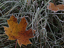 В Москве на предстоящей неделе выпадет первый снег