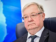 В России указали на серьезное давление на Евросоюз со стороны США