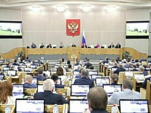 Госдума приняла заявление об оскорблении чувств мусульман в Швеции